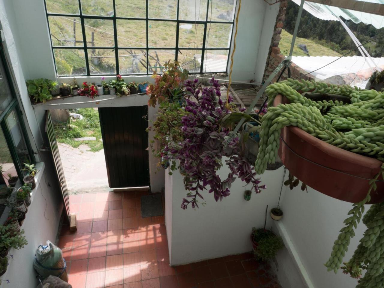Hospedaje Bella Vista Mongui Ngoại thất bức ảnh