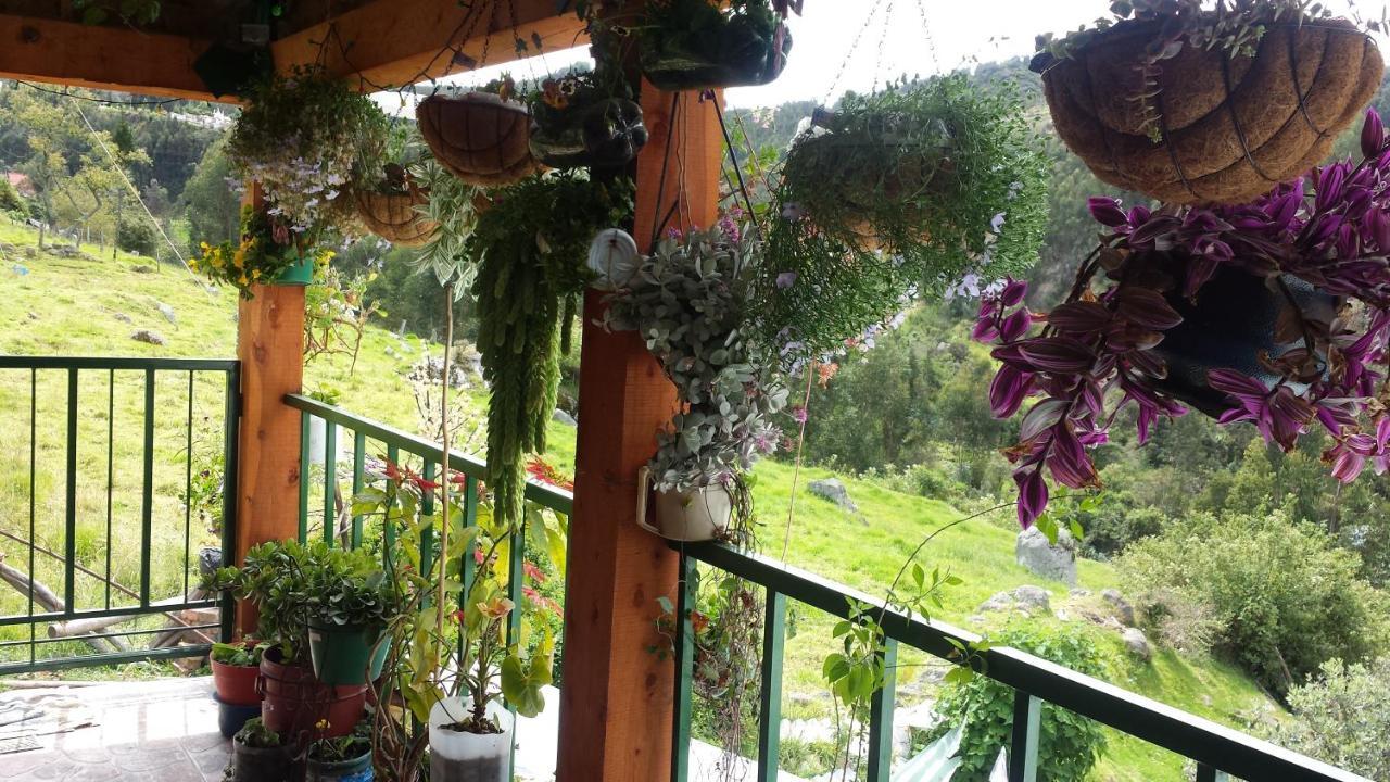 Hospedaje Bella Vista Mongui Ngoại thất bức ảnh